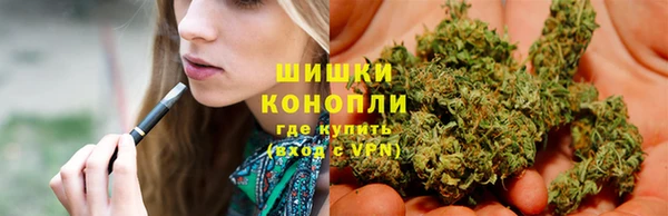 ПСИЛОЦИБИНОВЫЕ ГРИБЫ Елабуга