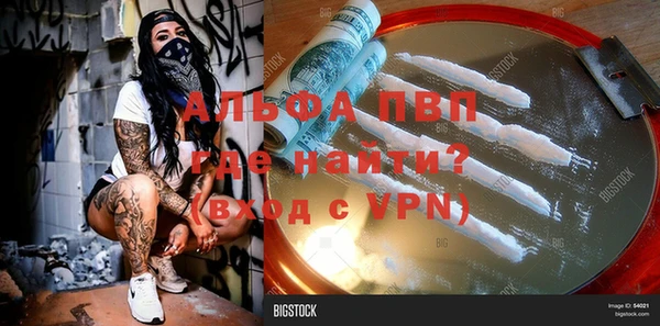 ПСИЛОЦИБИНОВЫЕ ГРИБЫ Елабуга
