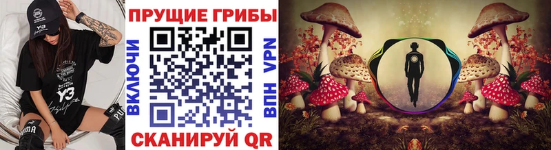 Псилоцибиновые грибы Psilocybine cubensis  Купить закладки  Опочка 